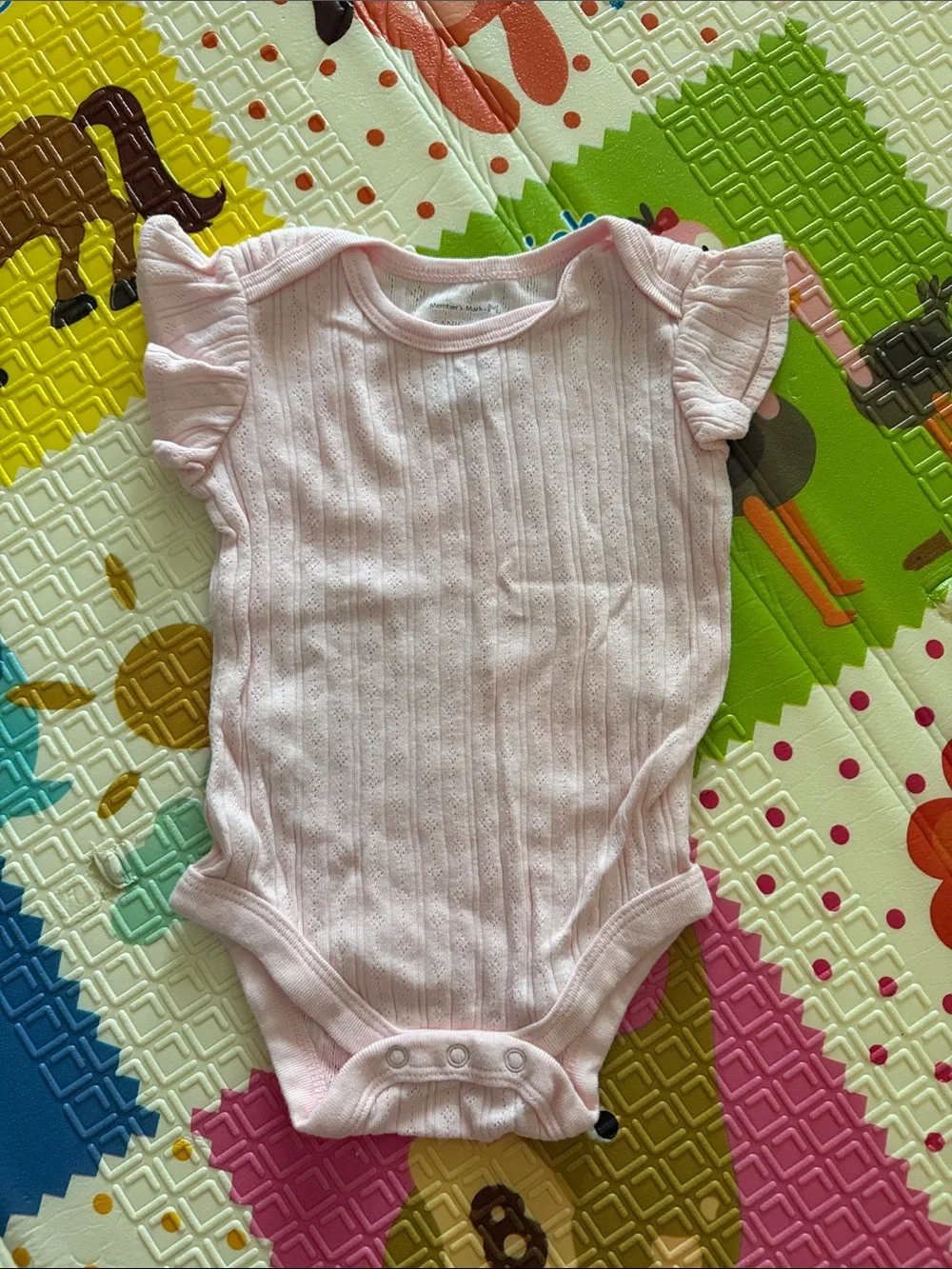 6 Organic Cotton Baby Girl One-Piece Bodysuits